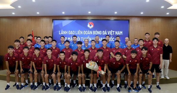 Hi88 cược thể thao