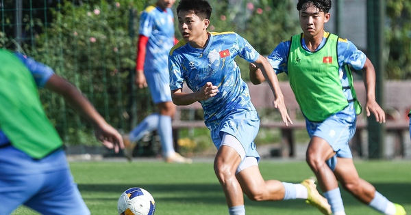 Hi88 cược thể thao