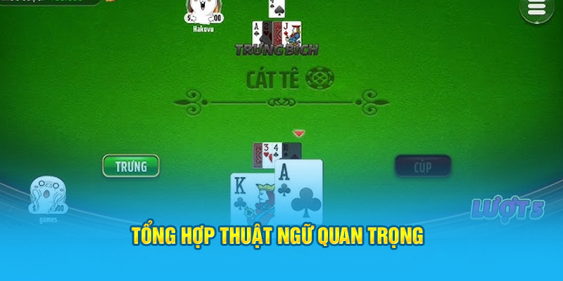 Tổng hợp thuật ngữ quan trọng&nbsp;